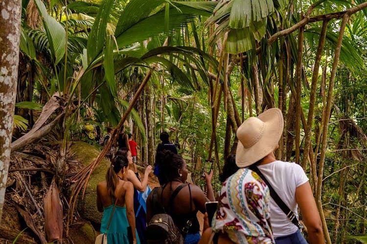 Vallée de Mai and Anse Lazio tour by bus