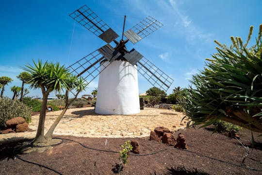 Tour dei villaggi e del cibo di Fuerteventura con piantagione di aloe vera