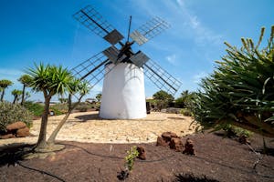 Gastronomische ervaringen in Fuerteventura