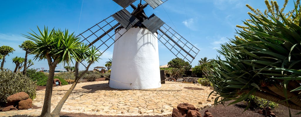 Fuerteventura Dorpen en Culinaire Tour met Aloë Vera Plantage