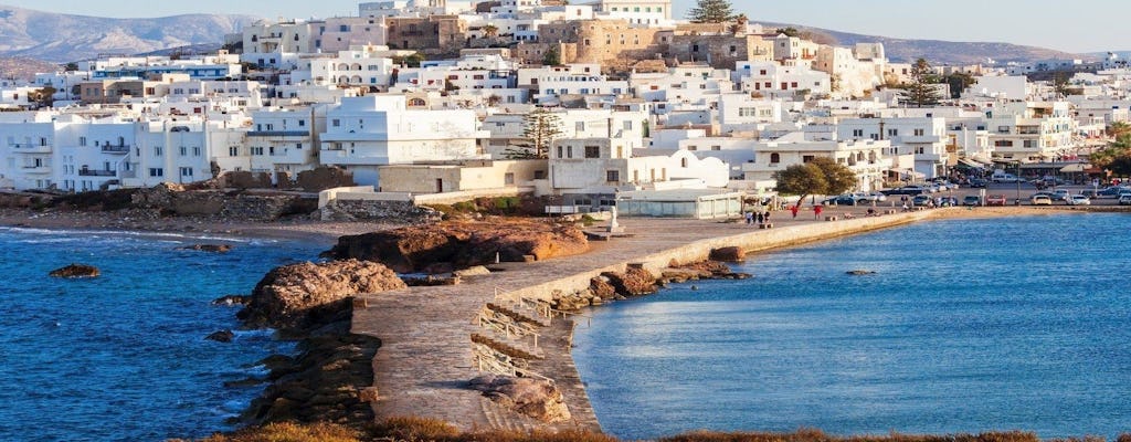 Visita guiada privada a lo más destacado de Naxos con degustación de aceite de oliva
