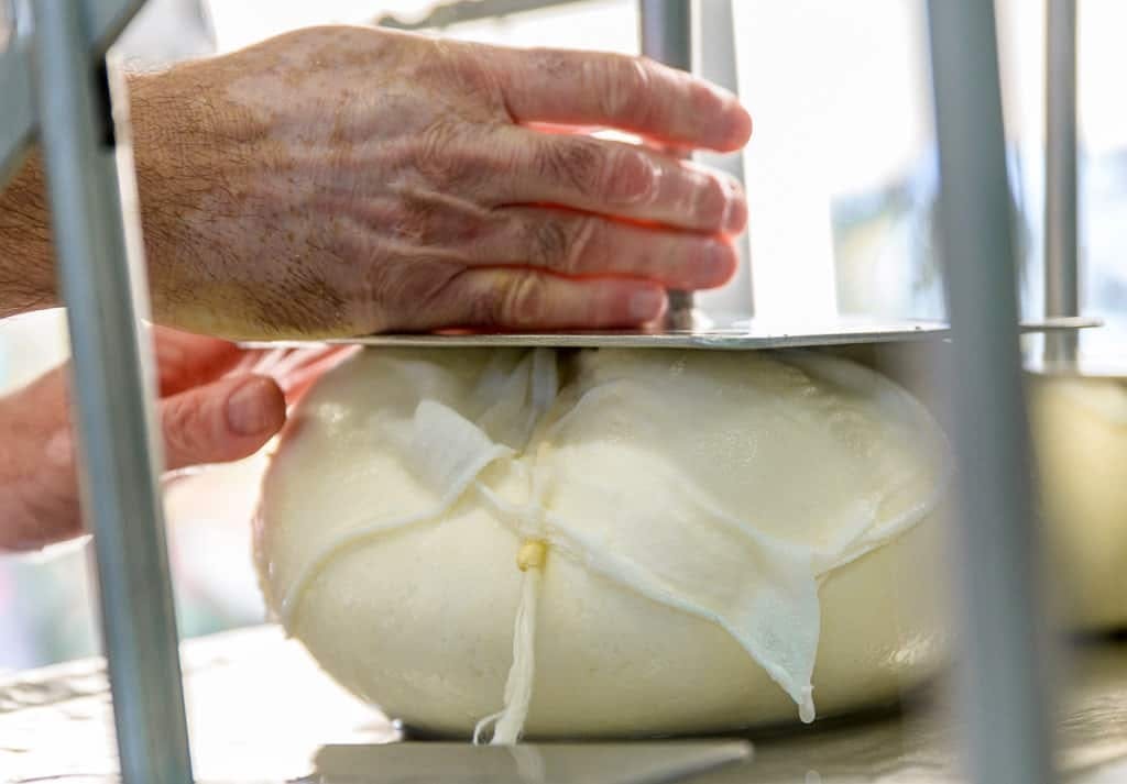 Billet pour la ferme de fromage Subaida