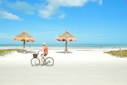 Visite des îles Holbox et Pasion