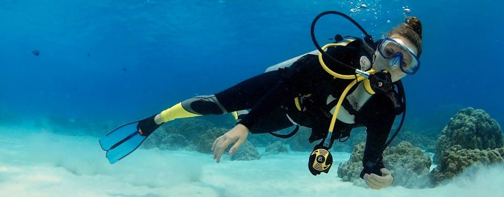 Découvrez la plongée sous-marine au Maroma Beach Club