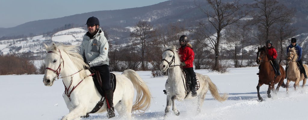Horse Riding Experience near Bansko with Transfer