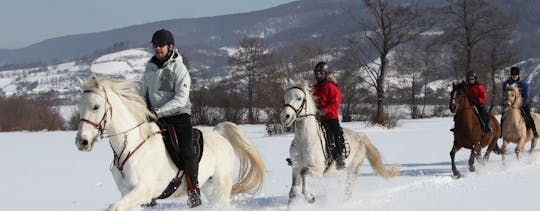 Paardrijervaring in de buurt van Bansko met overstap
