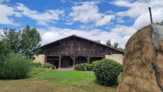 Full-day tour from Bilbao to discover the Basque rural culture