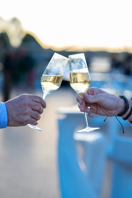 Live music Seine cruise with champagne and gourmet dinner