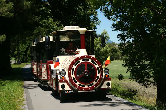 Vaduz Citytrain tour in 35 minutes with audio guide