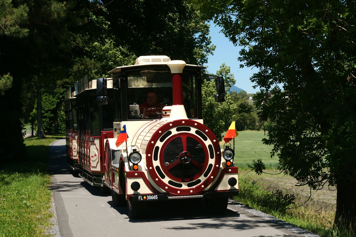 Vaduz Stadstreintour in 35 minuten met audiogids