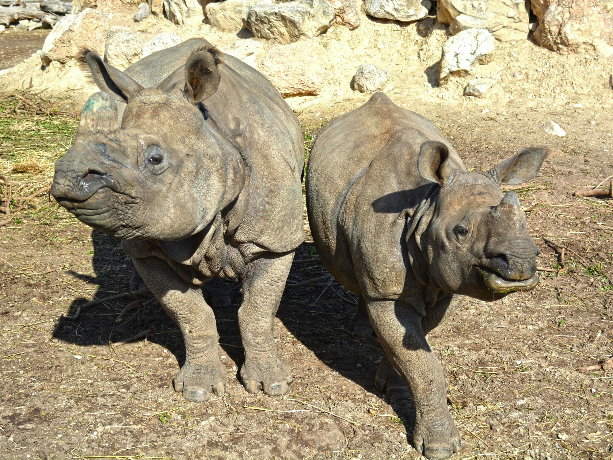 Terra Natura and/or Aqua Natura Parks with Transport