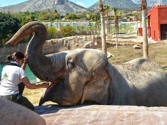 Terra Natura and-or Aqua Natura Parks with Transport