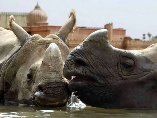 Terra Natura Benidorm Ticket