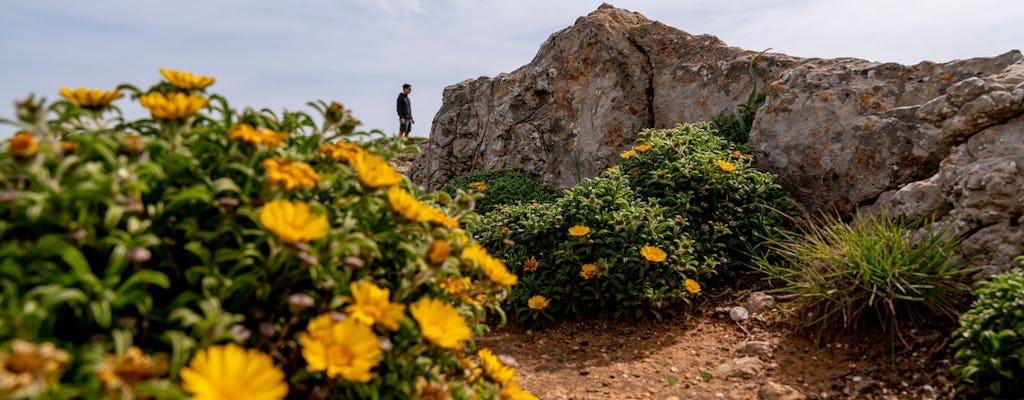 4x4 off-road half-day guided tour with wine tasting from Albufeira
