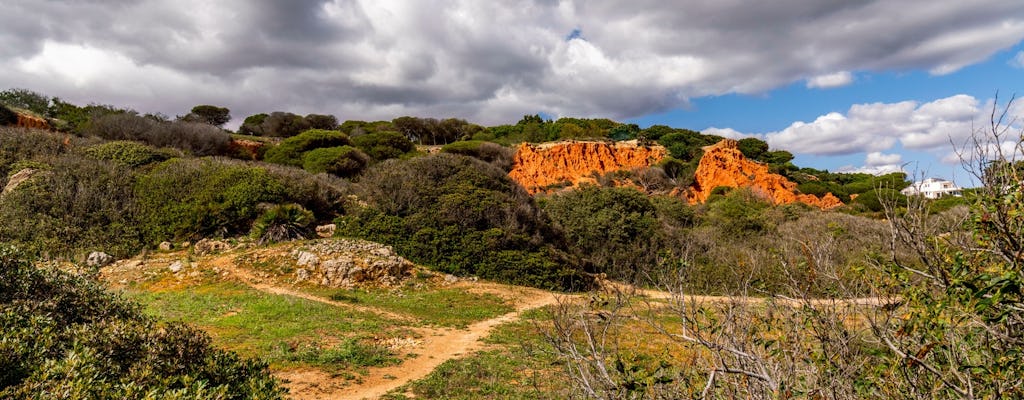 Full-day guided Jeep tour from Albufeira