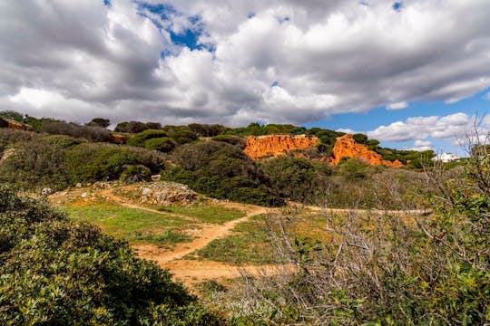 Full-day guided Jeep tour from Albufeira
