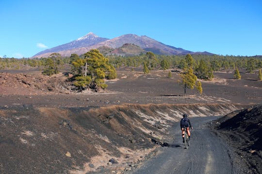 Randonnées en vélo tout-terrain électrique à Tenerife