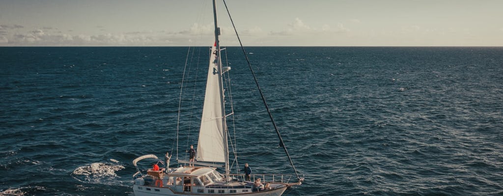 Dolphins and Whales Cruise Trip from Funchal