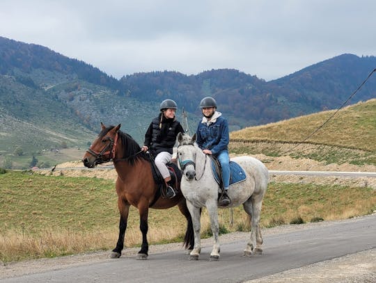 Exploração de Sirnea com passeio a cavalo e almoço de Brasov