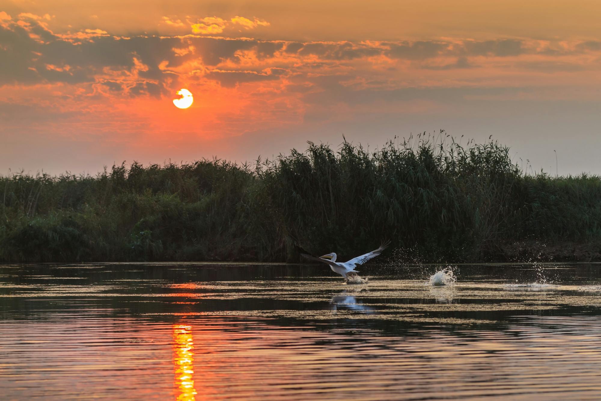 River Cruise Collection: Cruising the Danube Delta