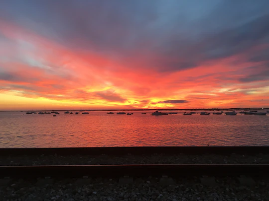 Ria Formosa sunset boat tour from Faro