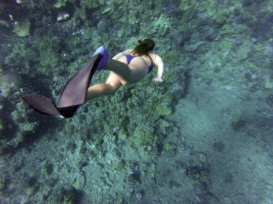 Tour privato in barca di Ortigia e delle sue grotte con snorkeling