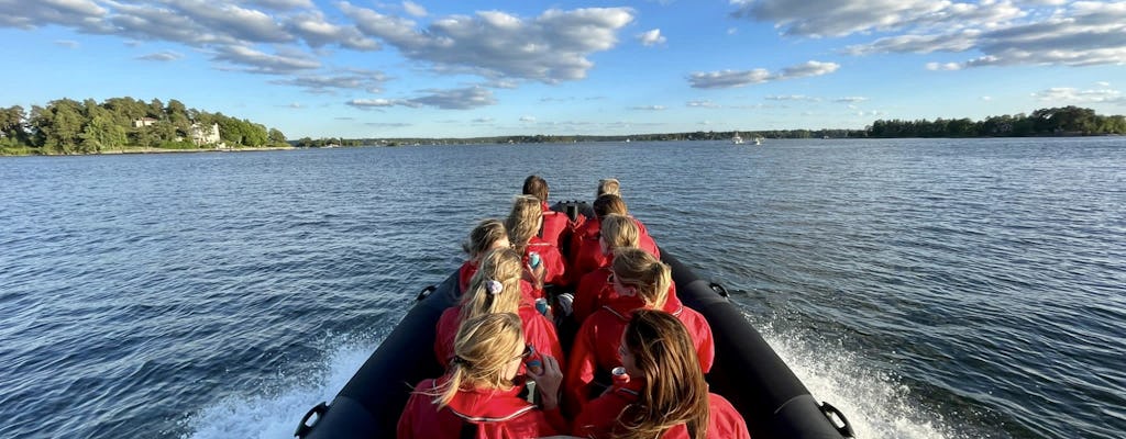 2-hour archipelago tour on a RIB speedboat