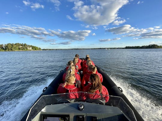 2-hour archipelago tour on a RIB speedboat