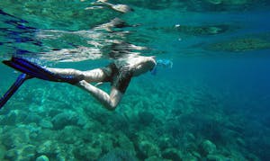 Snorkeling in Skiathos