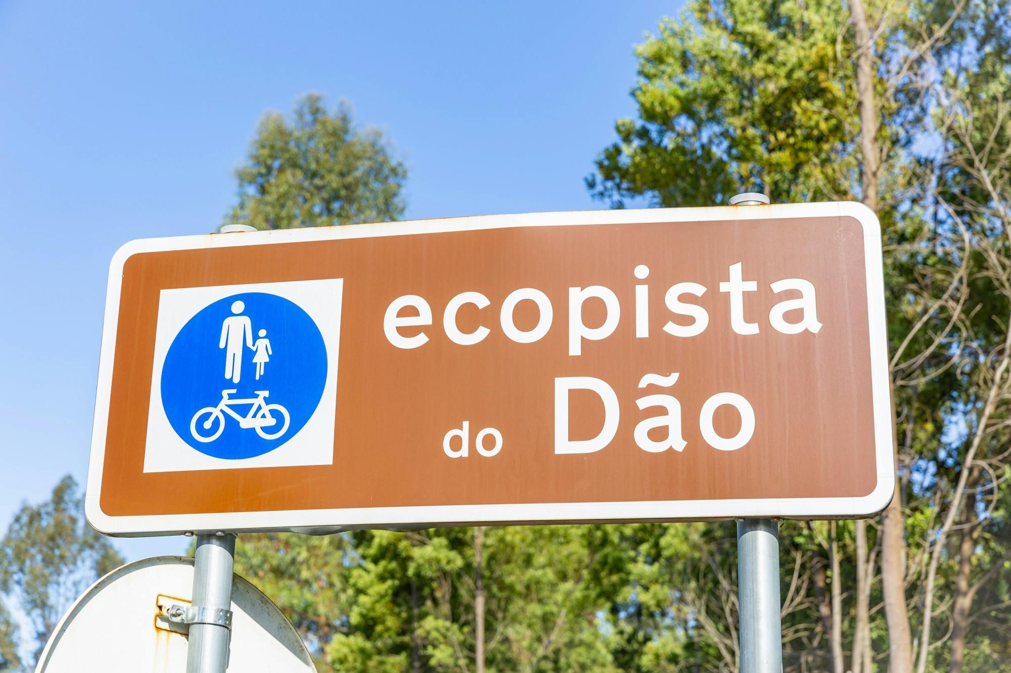 Escursione in bicicletta di un giorno da Coimbra con l'Ecopista do Dão