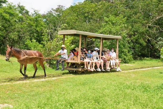 Visite du domaine de la plantation d'Henequen avec déjeuner