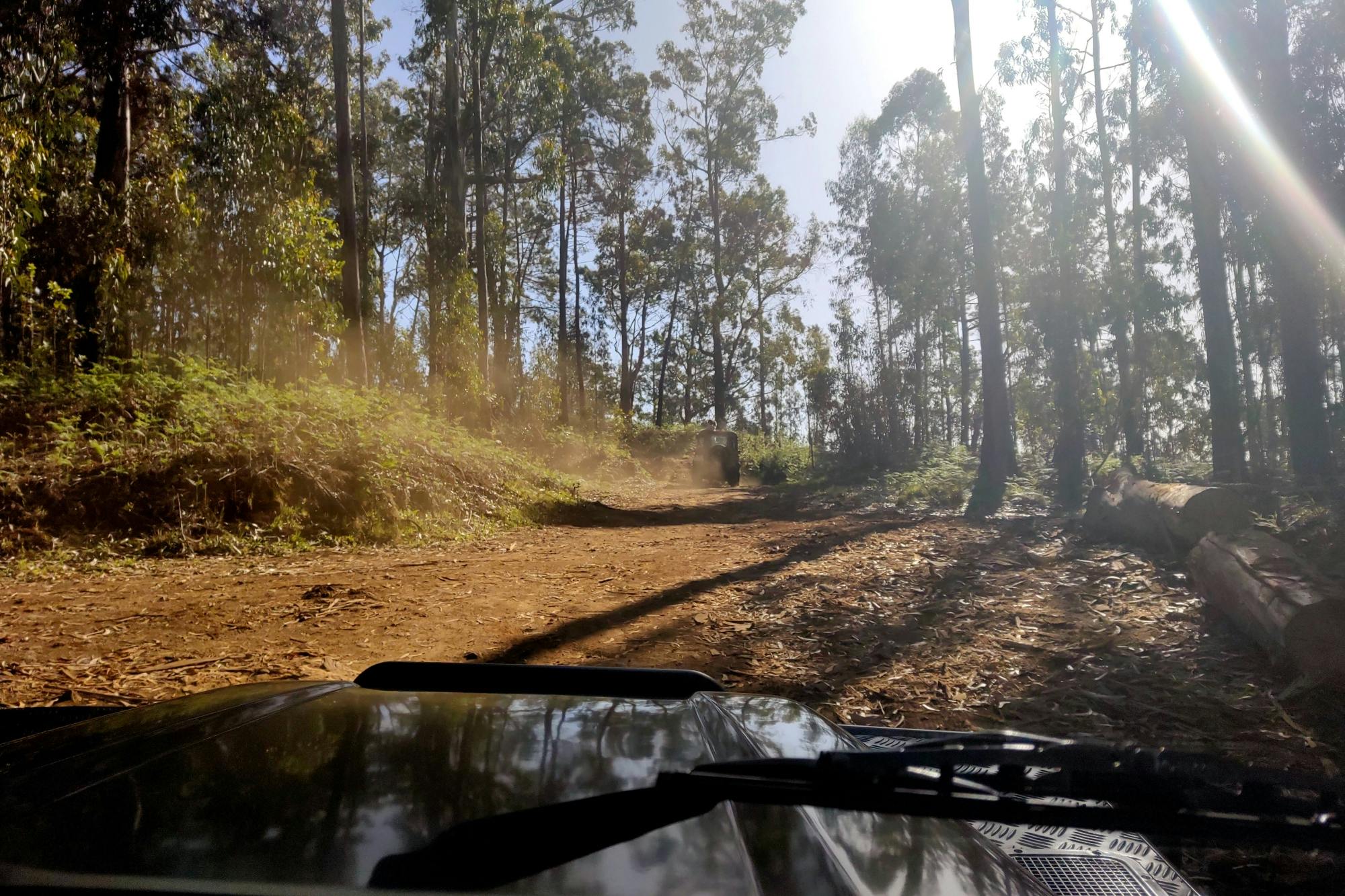 Northwest Madeira 4x4 Tour with Laurisilva Forest and Lunch