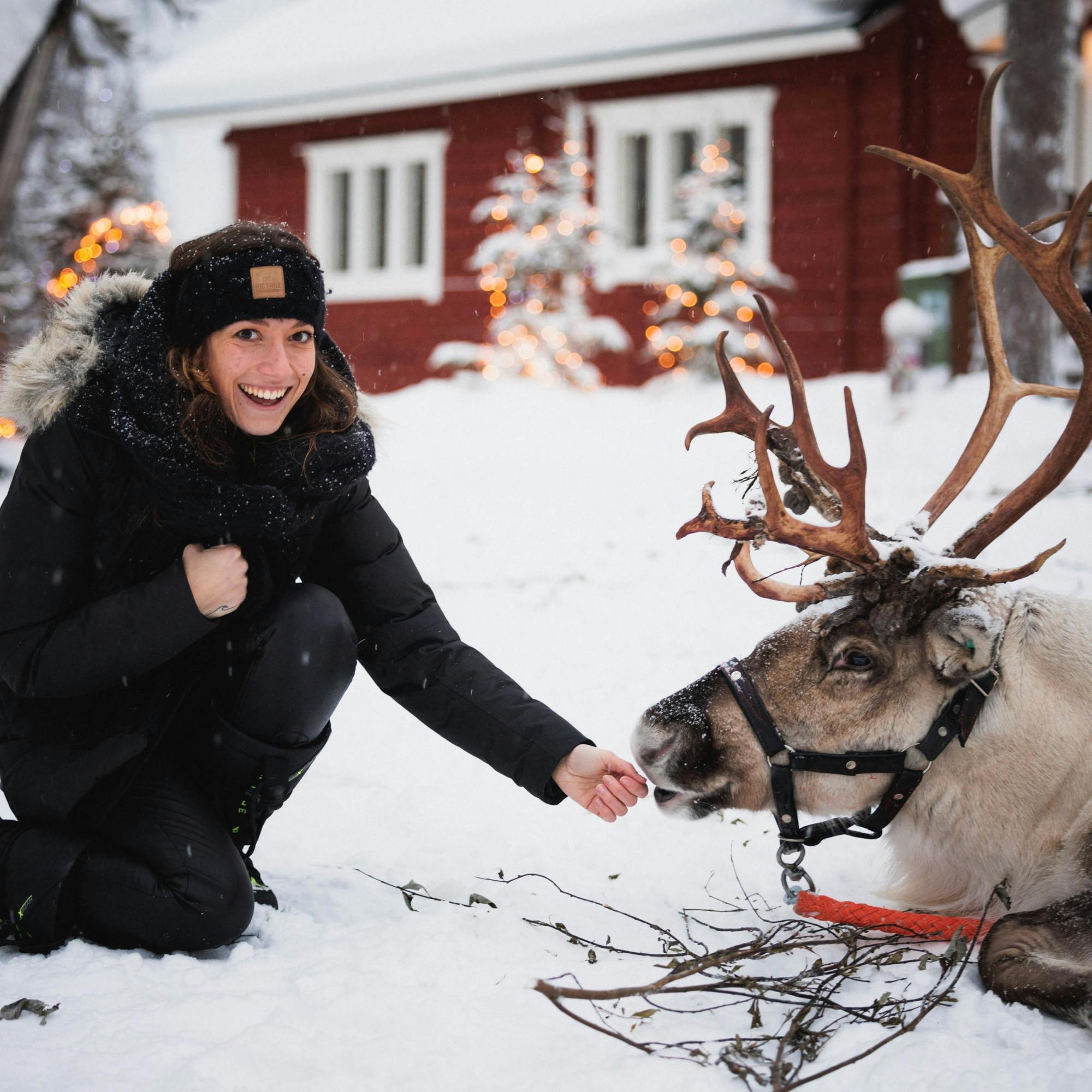 Journée en famille avec motoneiges, animaux arctiques et Village du Père Noël