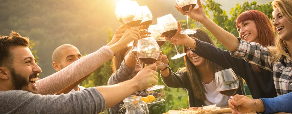 Dégustation de vins et dîner barbecue dans les vignobles du Chianti de Sienne