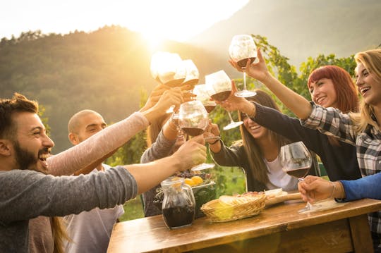 Dégustation de vin et dîner barbecue dans les vignobles du Chianti de Sienne