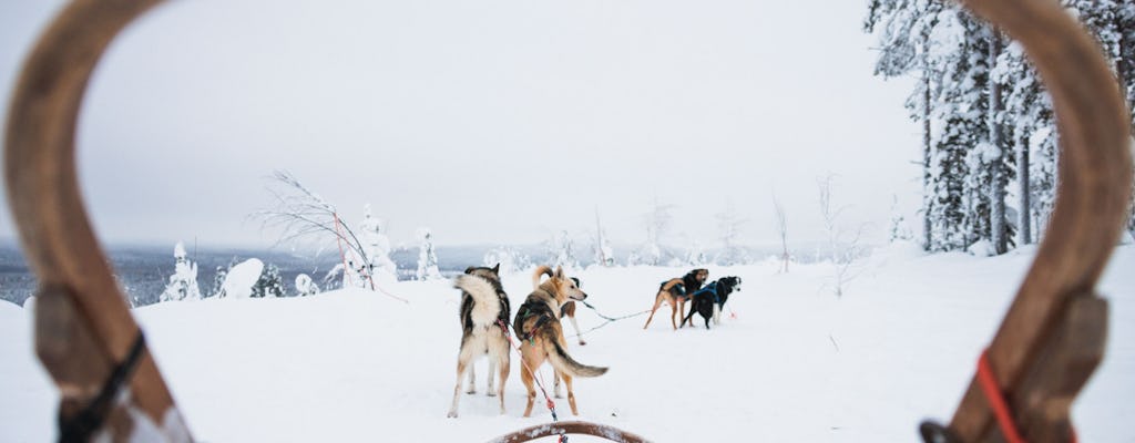 Long Husky trail through the Arctic Circle