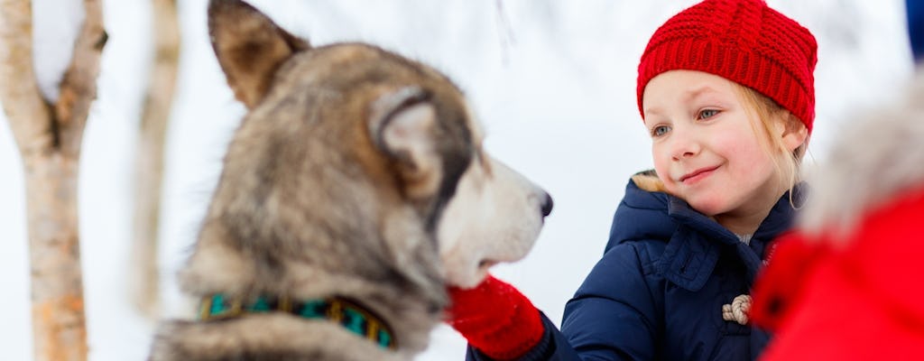 Arctic Circle highlights tour with Santa Claus Village
