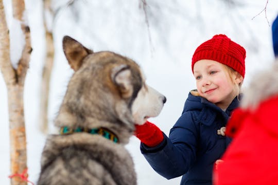 Tour zu den Höhepunkten des Polarkreises mit Besuch des Weihnachtsmanndorfs