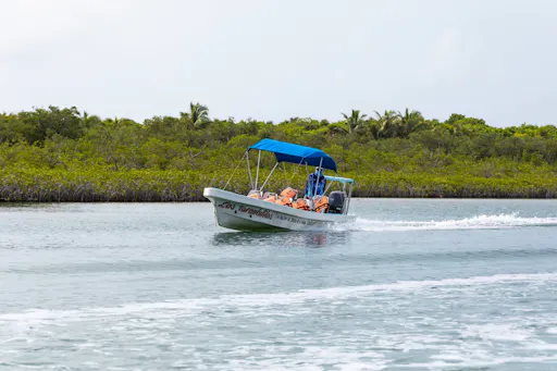 Sian Ka'an 4x4 Tour with Reef Snorkelling and Punta Allen Lunch