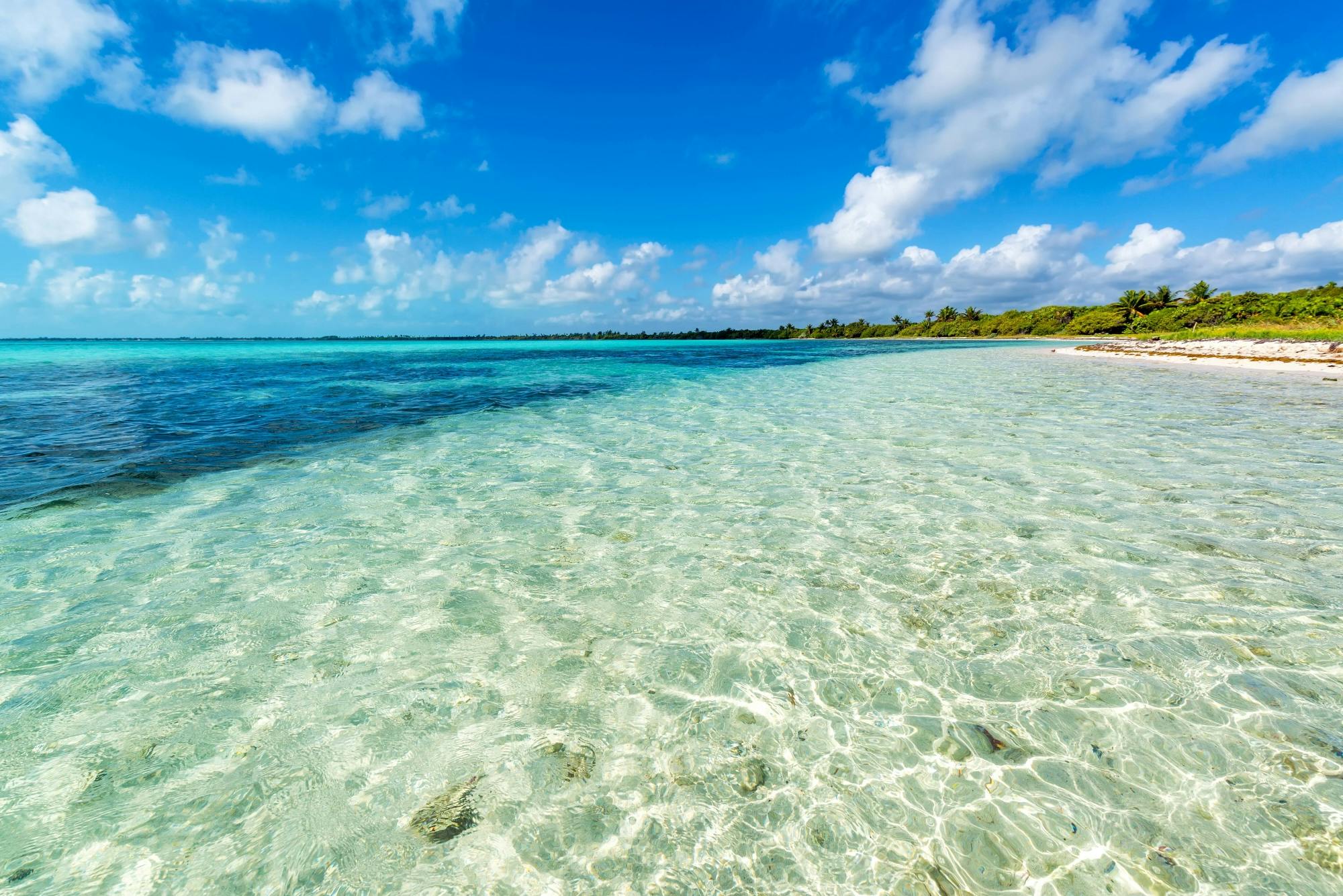 Sian Ka'an 4x4 Tour with Reef Snorkelling and Punta Allen Lunch