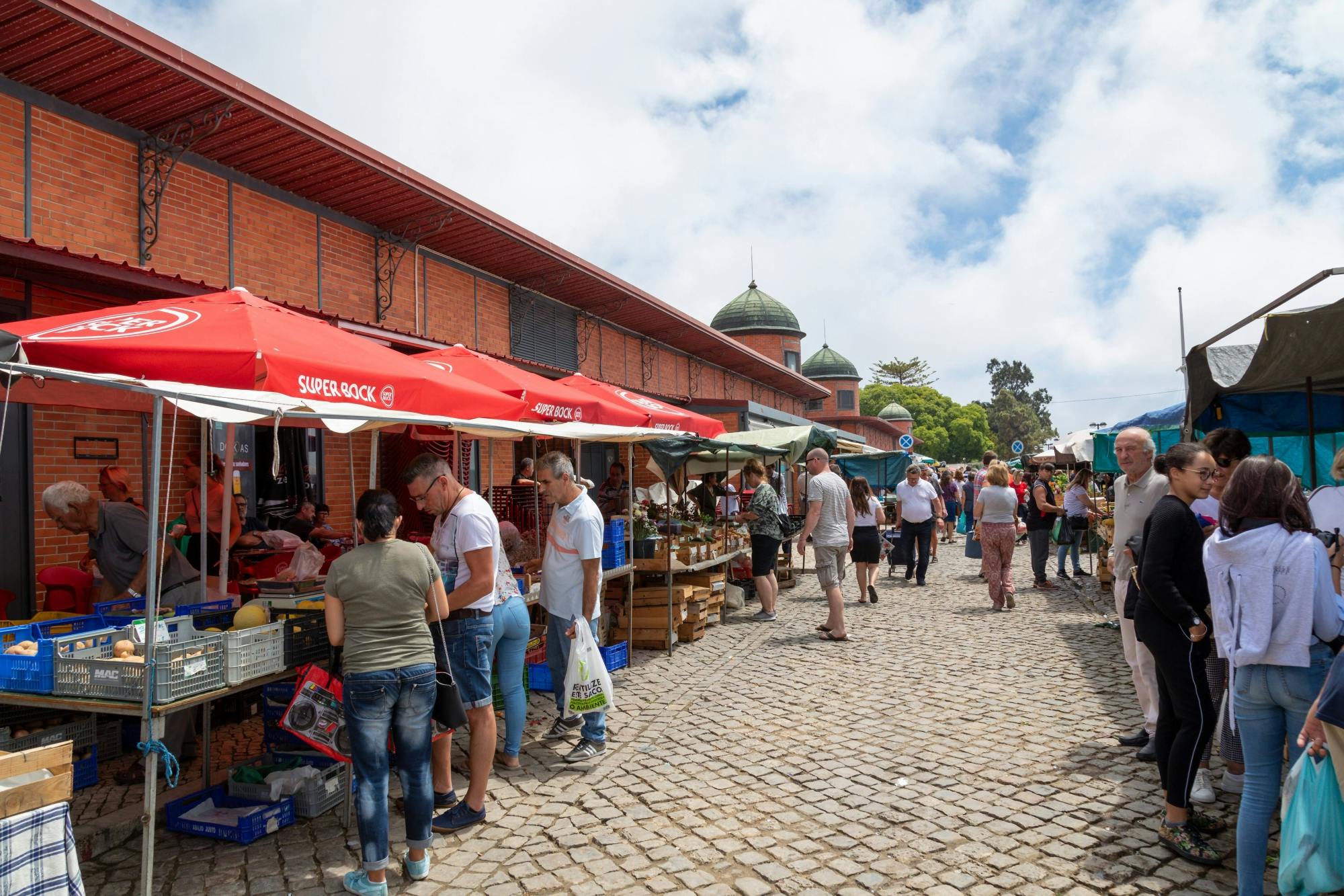 Visite de Faro, Olhão et Tavira avec musique Fado