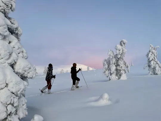Private snowshoeing tour in Pallas fells national park from Levi