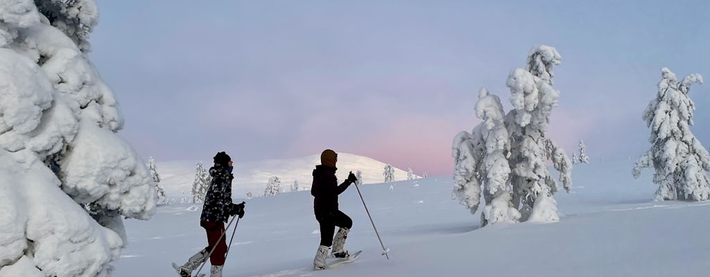 Sneeuwschoentocht in Pallas fells nationaal park vanuit Levi