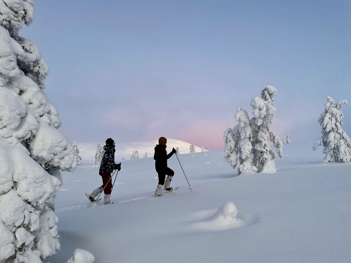 Privétour op sneeuwschoenen in het Nationaal Park Pallas Fells vanaf Levi