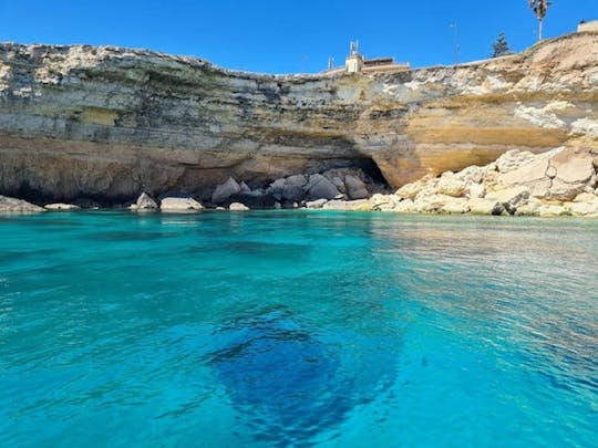 Tour privato in barca di 90 minuti, Isola di Ortigia e le sue grotte marine