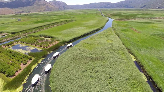 River Neretva Boat Tour with Lunch