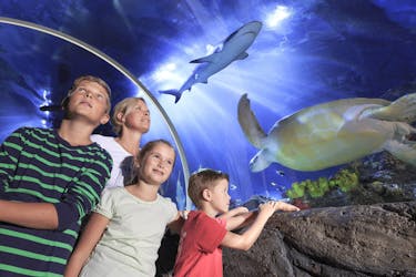 Tickets voor SEA LIFE Timmendorfer Strand