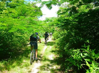 Tour in mountain bike Bras d’Eau e Roches Noires a Mauritius