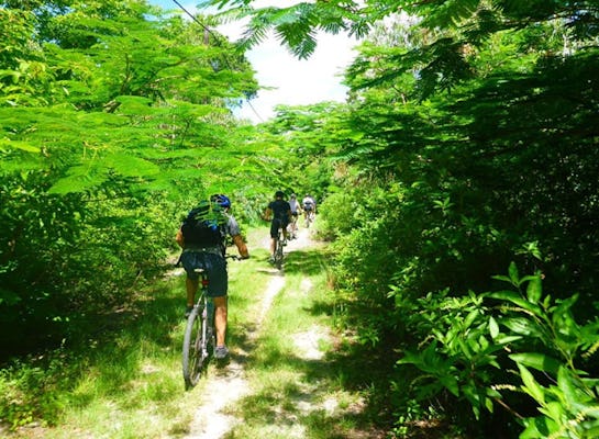 Passeio de mountain bike Bras d'Eau e Roches Noires nas Ilhas Maurício