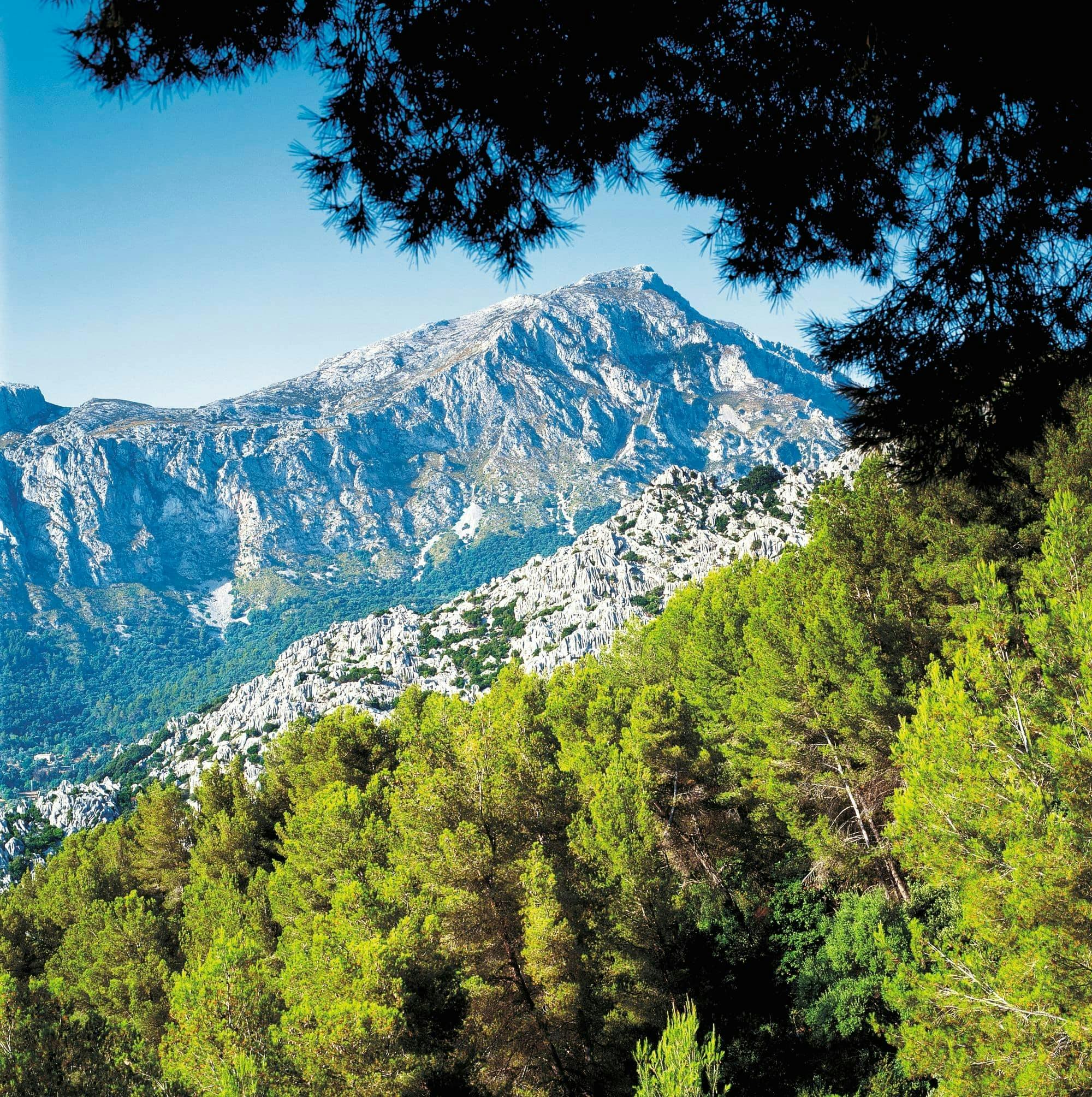 Valldemossa, Son Marroig och Soller med historiskt tåg